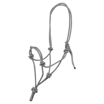 Knoophalster BR  Klara Moonless Night