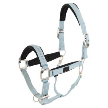 Halster BR Kimberly Neopreen Tourmaline