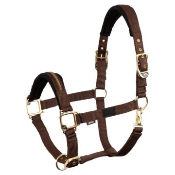 Halster BR Lieve Choco Martini Halster BR Lieve Choco Martini