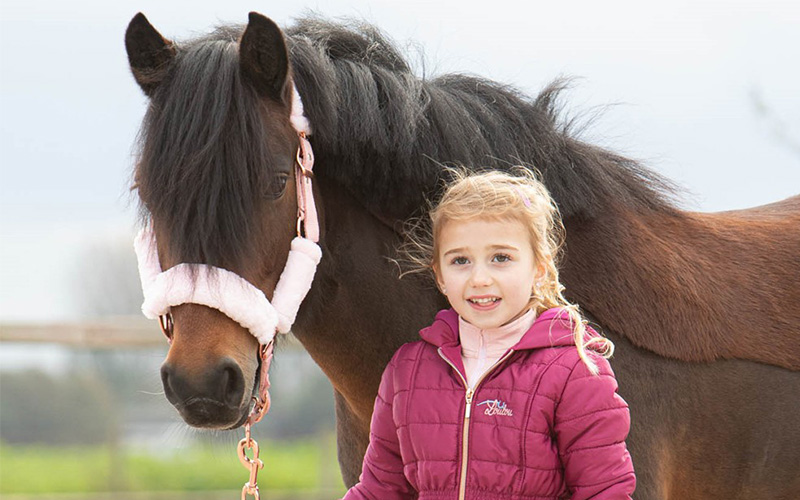 Alles wat je moet hebben voor je eerste eigen paard!
