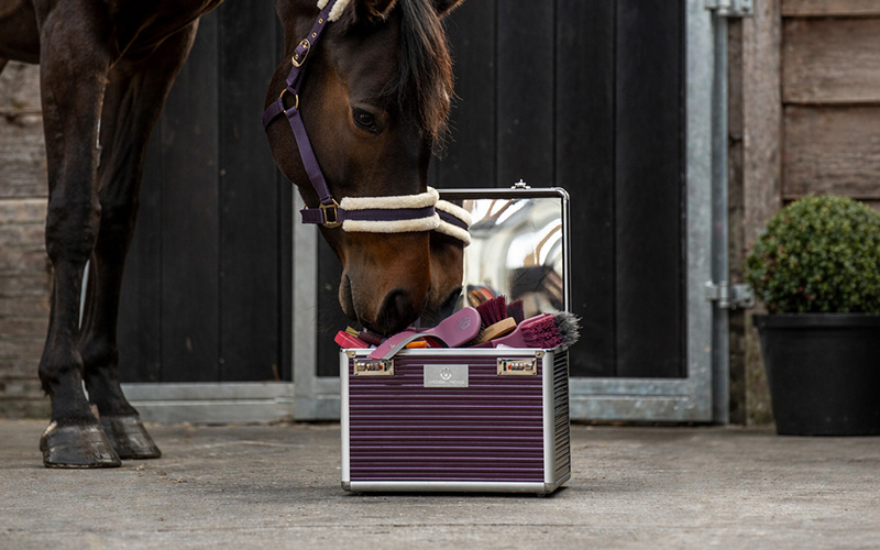 Wat heb je allemaal nodig in jouw groomingbox voor je paard?