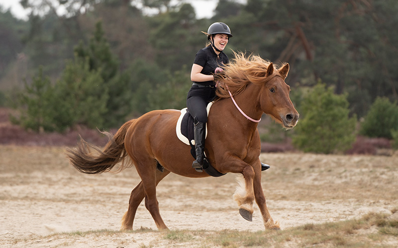 Bitloos, neckrope of met een barebackpad rijden? De kracht van afwisseling in je training!