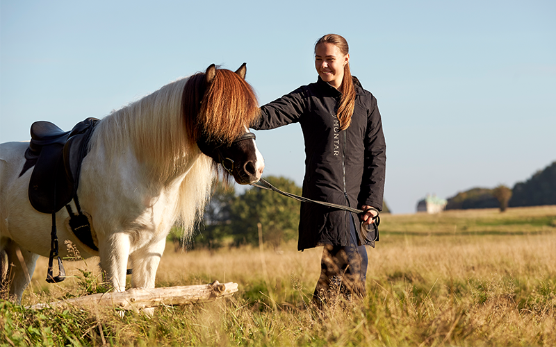 Wat heeft jouw paard nodig in de winter?