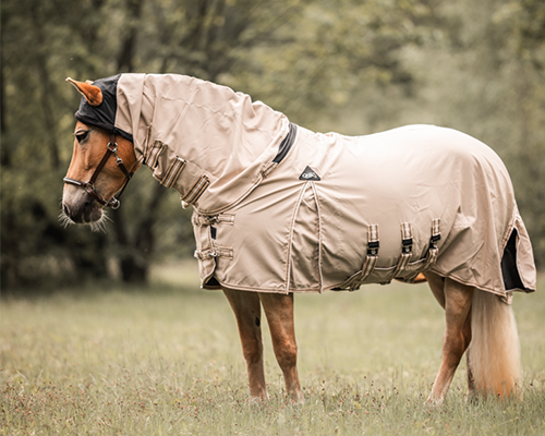 Zomereczeem bij je paard